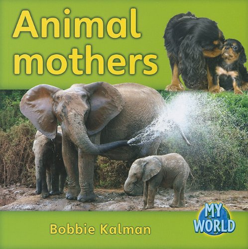 Animal mothers