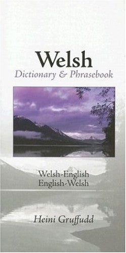 Welsh - English / English - Welsh Dictionary And