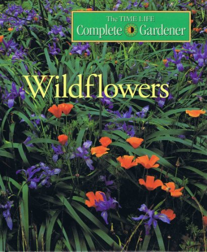 Wildflowers
