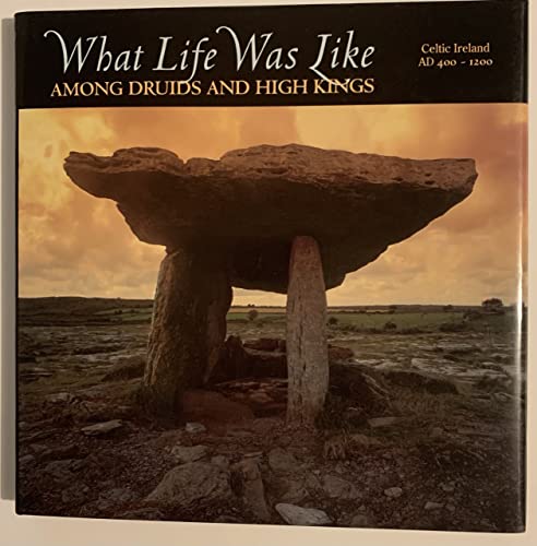 What Life Was Like Among Druids and High Kings