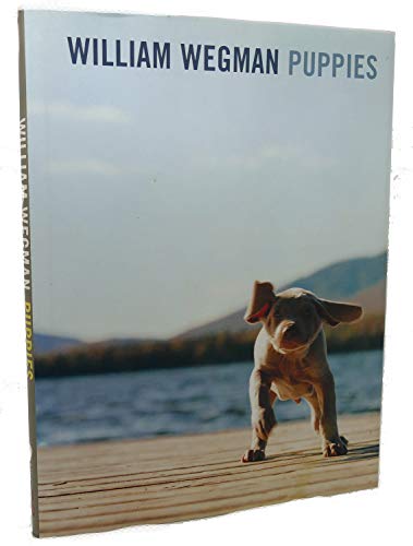 William Wegman Puppies
