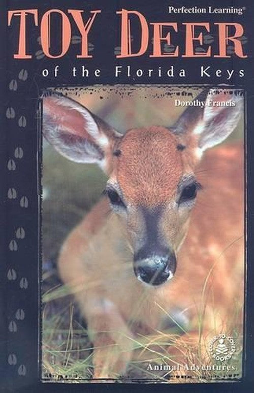 Toy Deer of the Florida Keys
