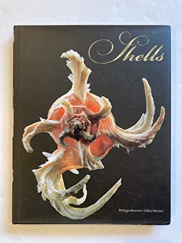 Shells