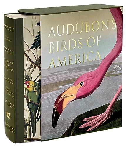 Audubons Birds of America