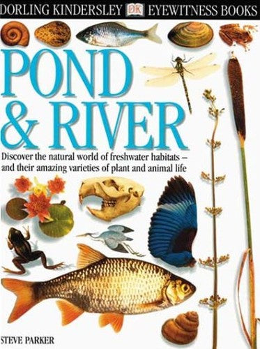 Pond and River