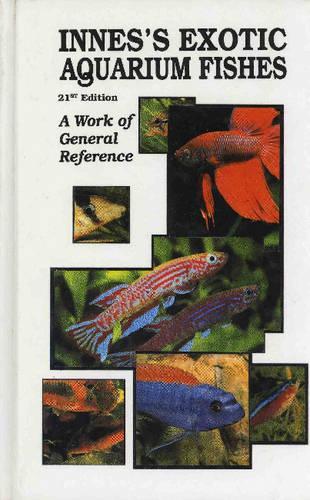 Exotic Aquarium Fishes