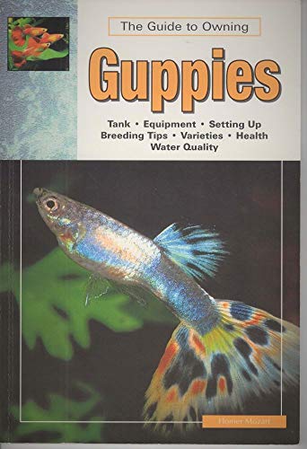 Guppies