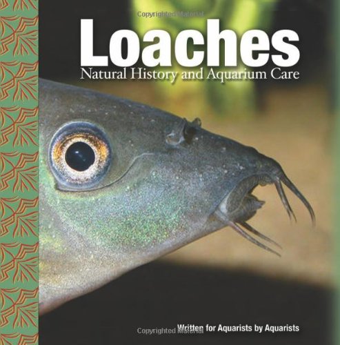Loaches