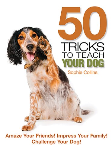50 Tricks to Teach Your Dog