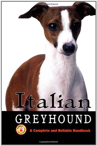 Italian Greyhound