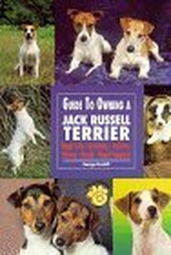 Guide to Owning a Jack Russell Terrier