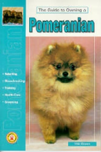 Guide to Owning a Pomeranian