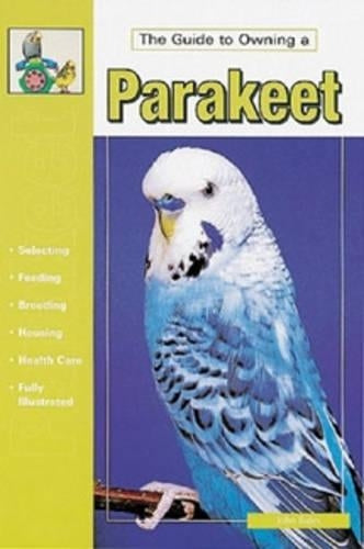 Guide to Owning a Parakeet