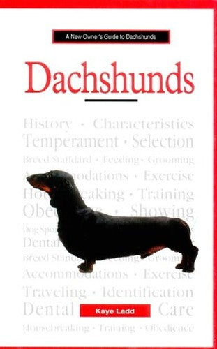 A New Owners Guide to Dachshunds