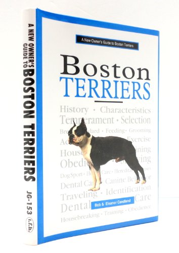 New Owner's Guide to Boston Terriers