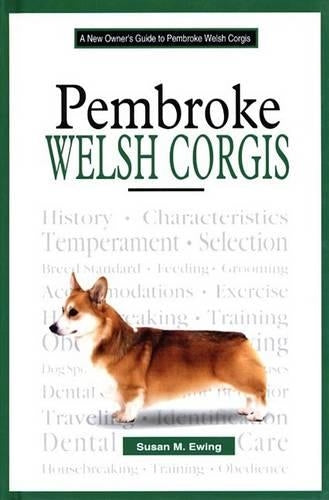 A New Owners Guide to Pembroke Welsh Corgis