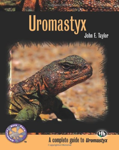 Uromastyx