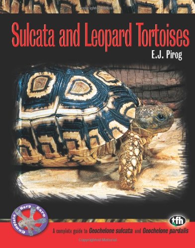 Sulcata and Leopard Tortoises