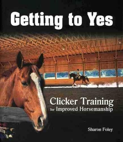 Getting to Yes
