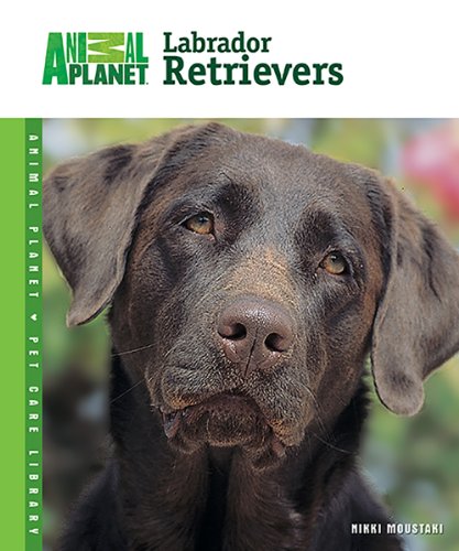 Labrador Retrievers