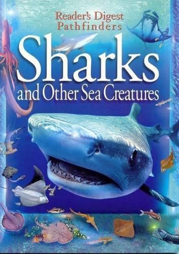 Sharks and Other Sea Creatures