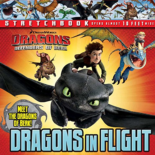 Dreamworks: Defenders of Berk: Dragons in Flight Stretchbook