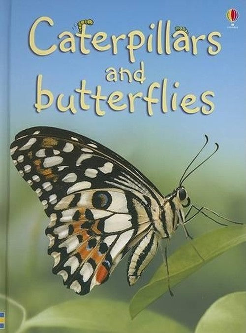 Caterpillars and Butterflies