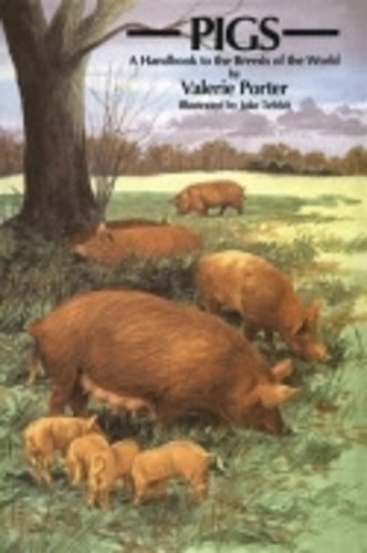 Pigs