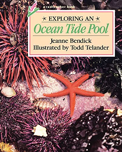 Exploring an Ocean Tide Pool