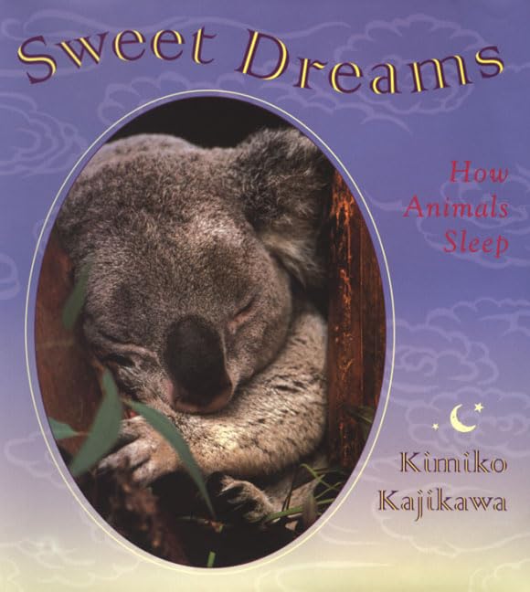 Sweet Dreams