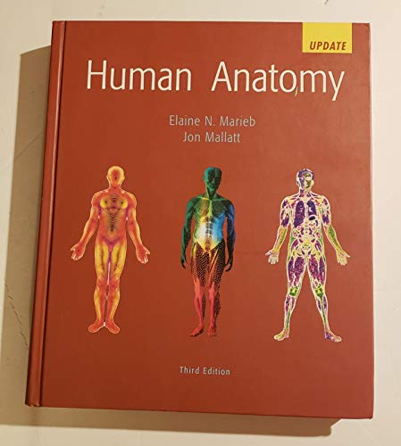 Human Anatomy Update