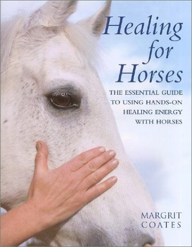 Healing for Horses