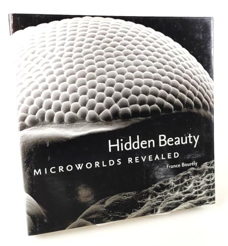 Hidden Beauty