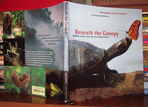 Beneath the Canopy