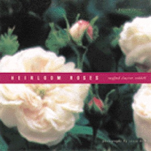 Heirloom Roses