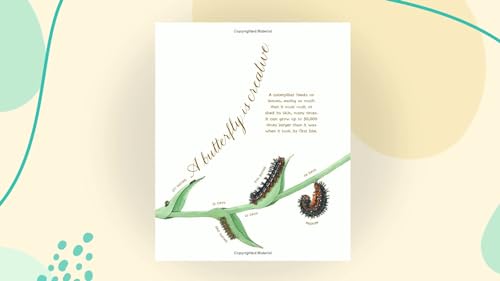 A Butterfly Is Patient