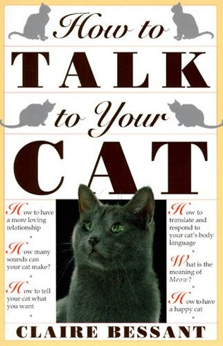 How to Talk to Your Cat