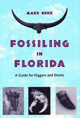Fossiling in Florida