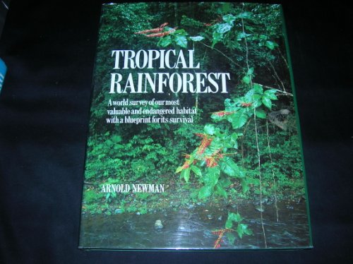 The Tropical Rainforest