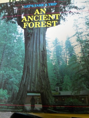An Ancient Forest
