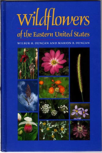 Wildflowers of the Eastern United States