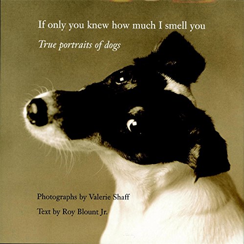 If Only You Knew How Much I Smell You