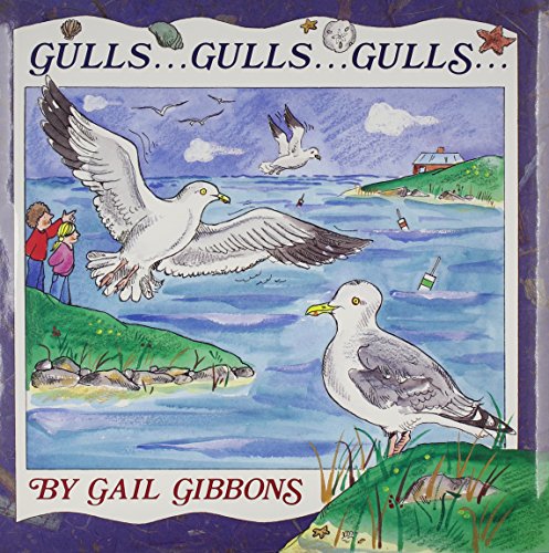 Gulls . . . Gulls . . . Gulls . . .
