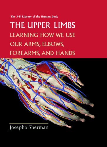 The Upper Limbs