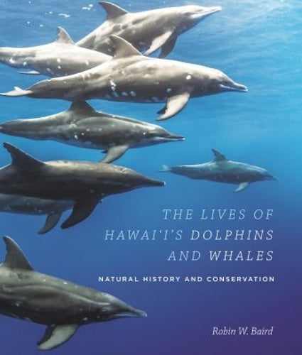 The Lives of Hawaii's Dolphins and Whales