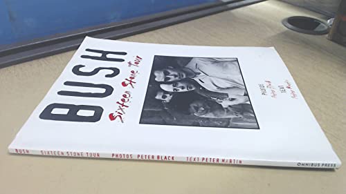 Bush Sixteen Stone Tour