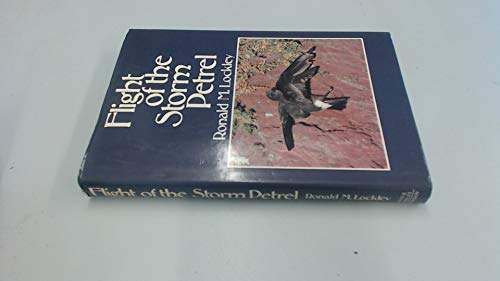 Flight of the Storm Petrel