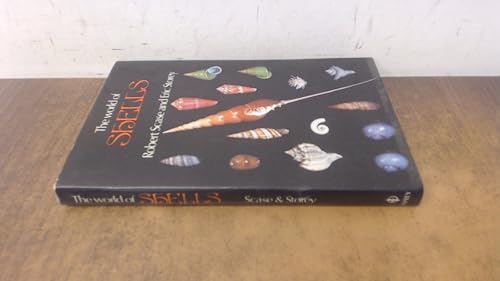World of Shells