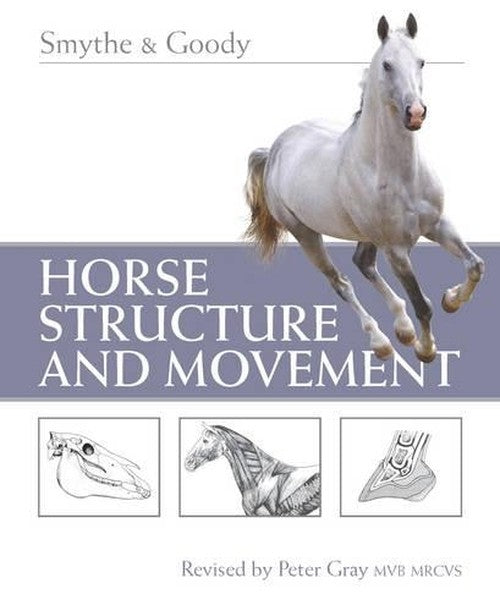 Horse Structure and Movement