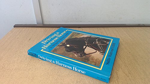 Driving a Harness Horse